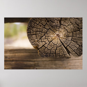 Old Cabin Texture Poster