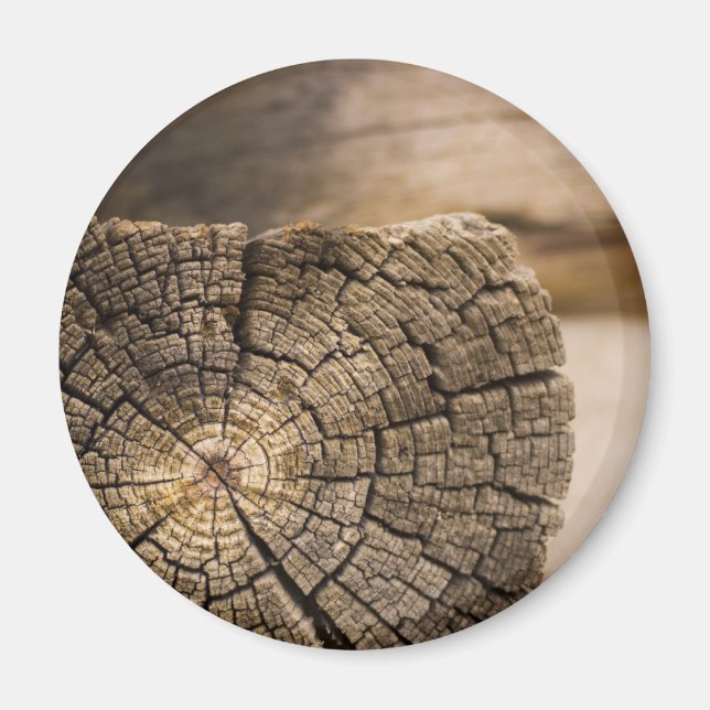 Old Cabin Textures Magnet (Front)