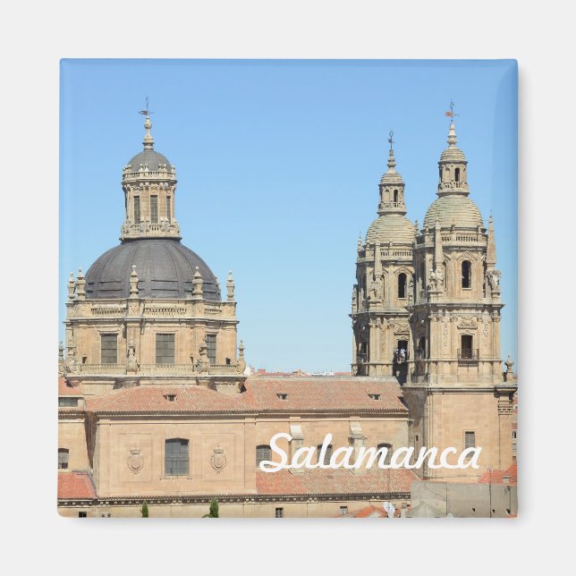 Old Cathedral, Salamanca Magnet (Front)