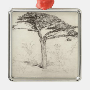 Old Cedar Tree in Botanic Garden, Chelsea, 1854 (p Metal Tree Decoration
