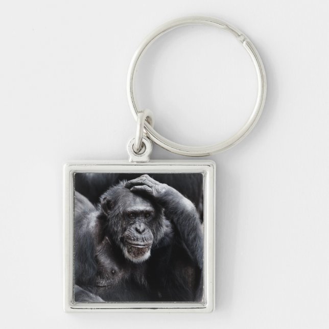 Old Chimpanzee key chain (Front)