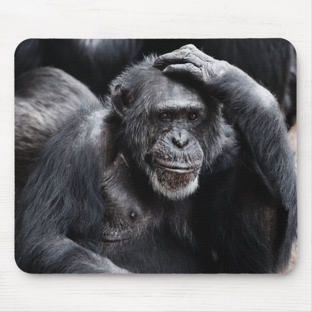 Old Chimpanzee mousepad (Front)