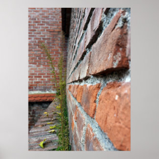 old city wall poster