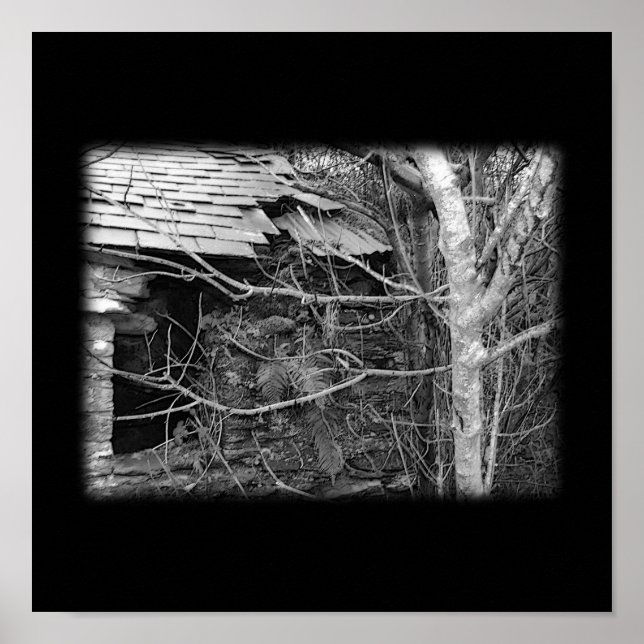 Old cottage and Tree. Black and white. Poster (Front)