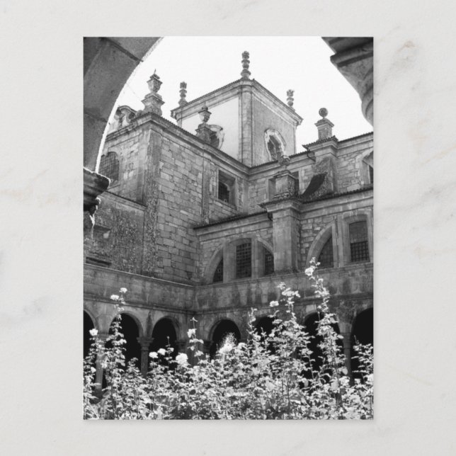 Old Courtyard Black & White Photograph Postcard (Front)