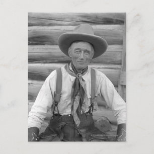 Old cowboy postcard