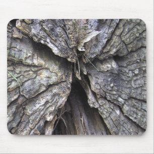 Old Cracked Wood an Angel Mousepad