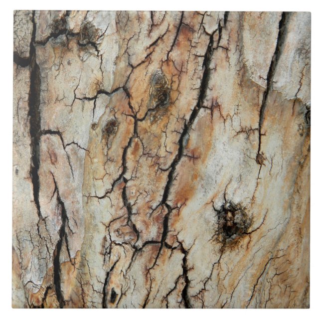Old cracked wood natural tree bark picture tile (Front)