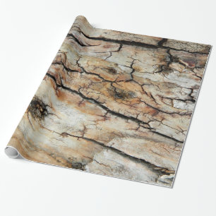 Old cracked wood natural tree bark picture wrapping paper