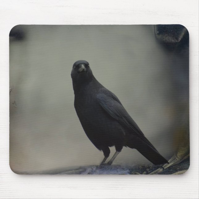 Old Crow Art Mouse Pad (Front)