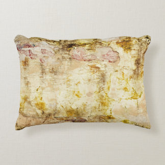 Old damaged wall backgroundabstract, aged, archite decorative cushion