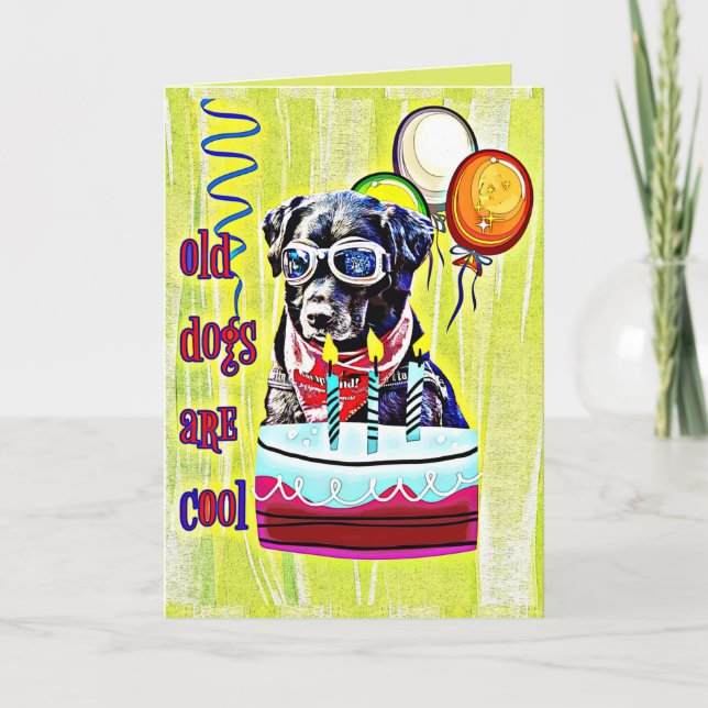 Old Dogs are Cool Happy Birthday Card (Front)