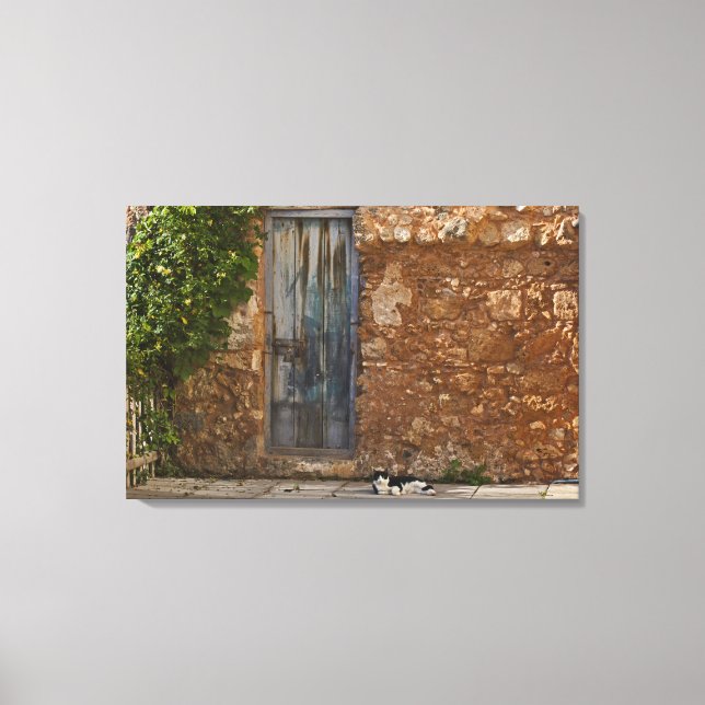 Old door and resting cat canvas print (Front)