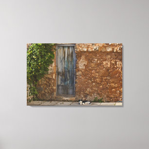 Old door and resting cat canvas print