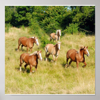 Old Draught Horses Print