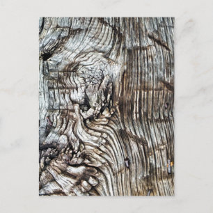 OLD ENGLAND POSTCARD