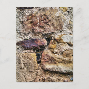 OLD ENGLAND POSTCARD