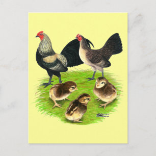 Old English Bantam Brassy Back Family Postcard