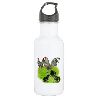 Old English Barred Bantam Family 532 Ml Water Bottle