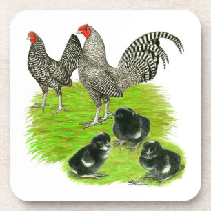 Old English Barred Bantam Family Coaster