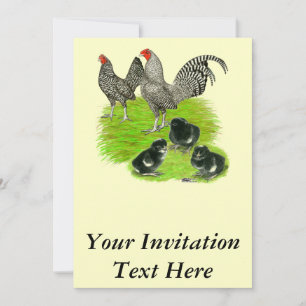 Old English Barred Bantam Family Invitation