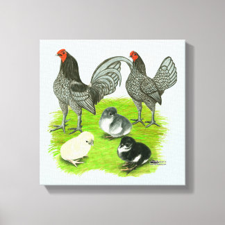 Old English Blue Game Family Canvas Print