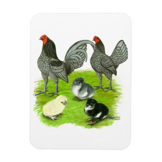 Old English Blue Game Family Magnet