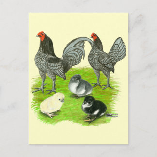 Old English Blue Game Family Postcard