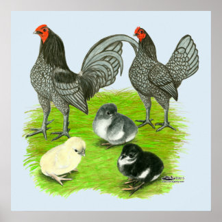 Old English Blue Game Family Poster