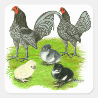 Old English Blue Game Family Square Sticker