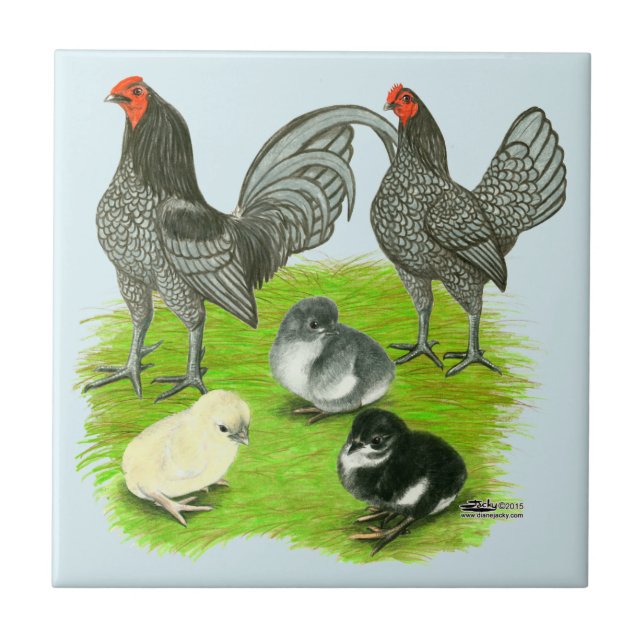 Old English Blue Game Family Tile (Front)