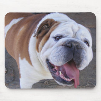 Old English Bulldog Mouse Pad