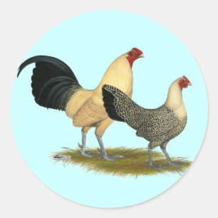 Old English Cream Buttercups Classic Round Sticker