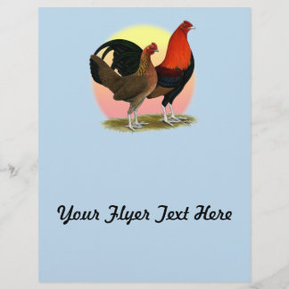 Old English Game Bantam: BB Red Flyer