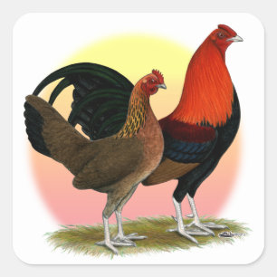 Old English Game Bantam:  BB Red Square Sticker