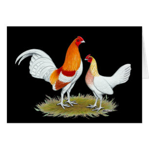 Old English Game Bantam: Red Pyle