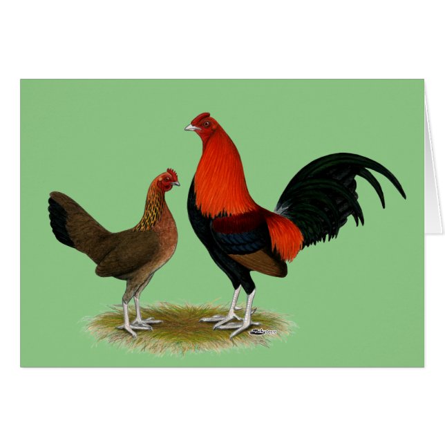 Old English Game Bantams:  BB Red Pair (Front Horizontal)