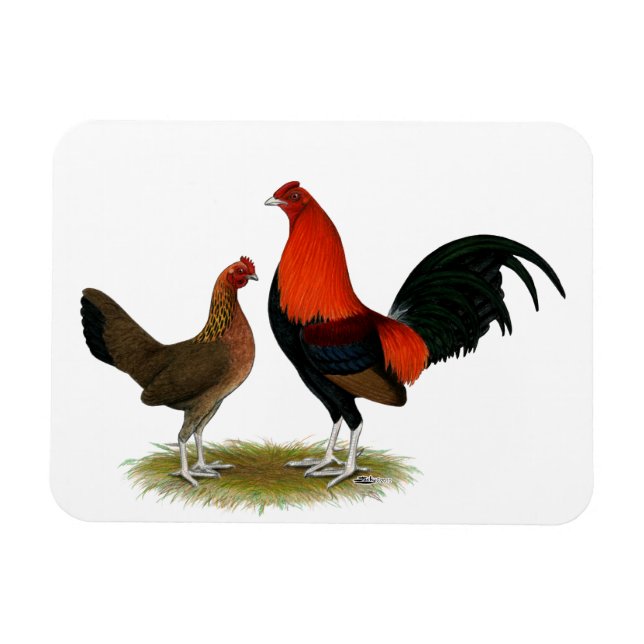 Old English Game Bantams:  BB Red Pair Magnet (Horizontal)