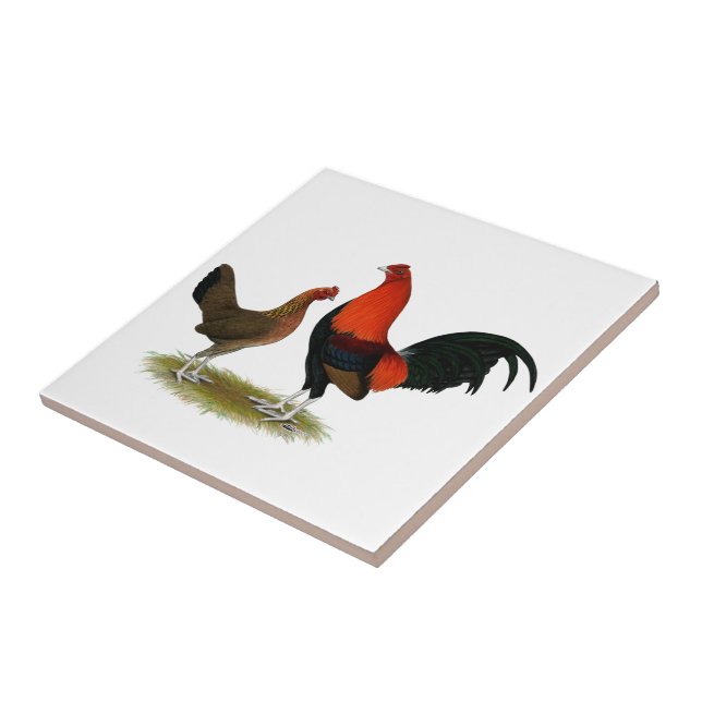 Old English Game Bantams:  BB Red Pair Tile (Side)