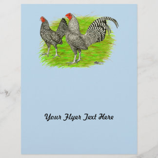 Old English Game Barred Chickens Flyer