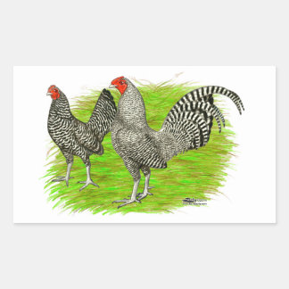 Old English Game Barred Chickens Rectangular Sticker