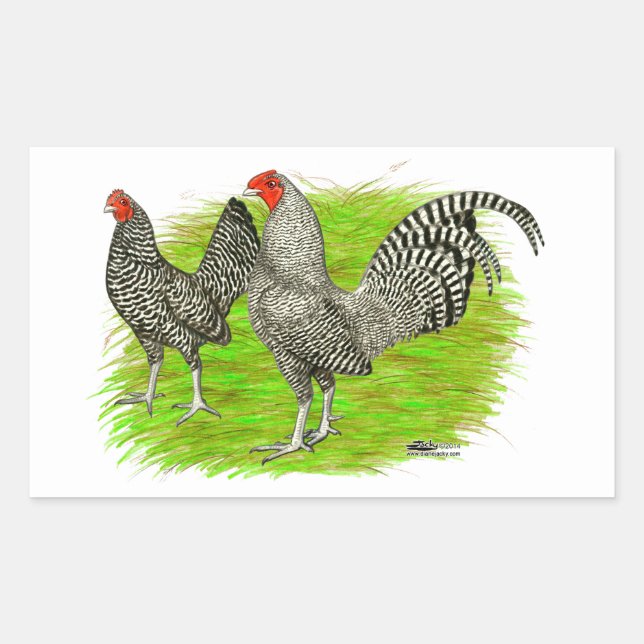 Old English Game Barred Chickens Rectangular Sticker (Front)