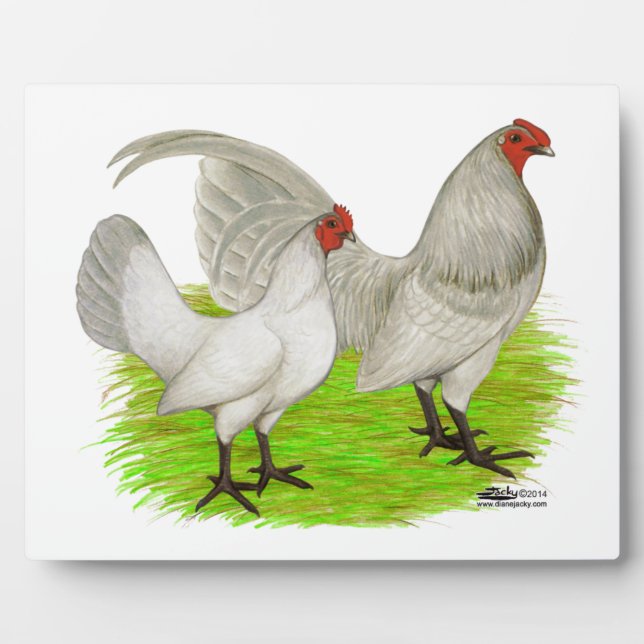 Old English Game Self Blue Plaque (Front)