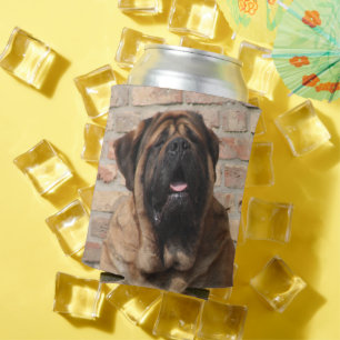old English Mastiff Can Cooler