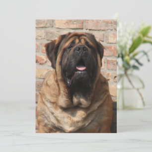 old English Mastiff Invitation