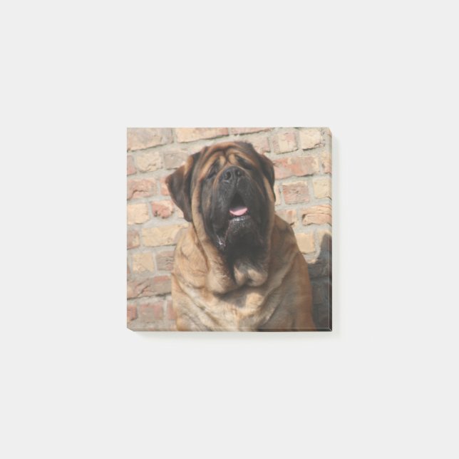 old English Mastiff Post-it Notes (Front)