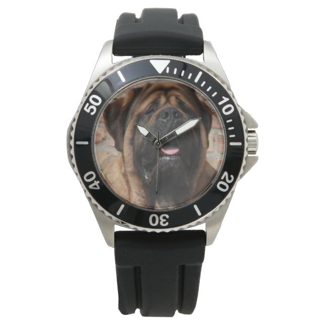 old English Mastiff Watch (Front)