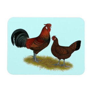 Old English Pheasant Fowl Magnet