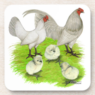 Old English Self Blue Bantam Family Coaster