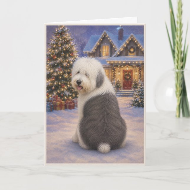 Old English Sheepdog Christmas Card (Front)